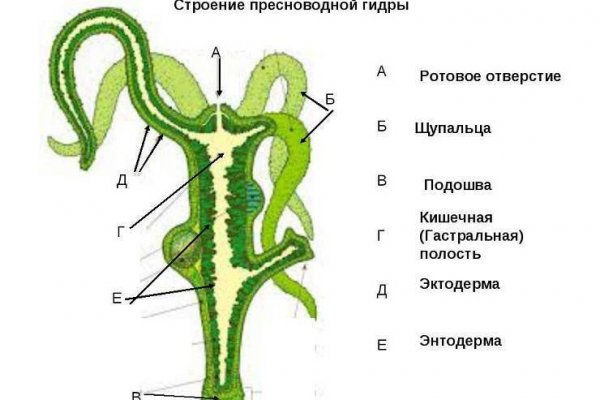 Кракен заблокировали